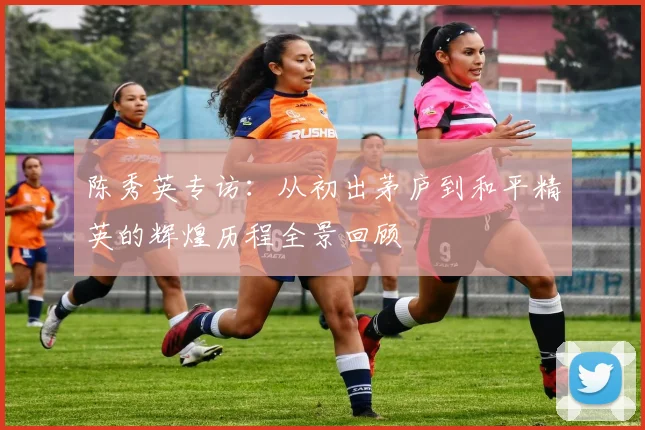 陈秀英专访：从初出茅庐到和平精英的辉煌历程全景回顾