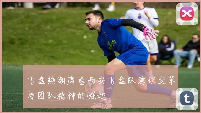 飞盘热潮席卷西安飞盘队意识变革与团队精神的崛起