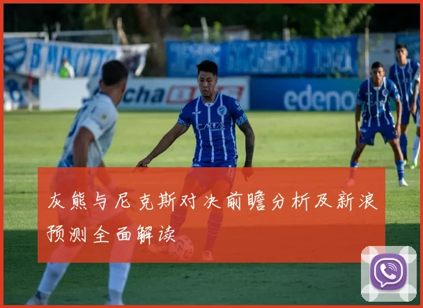 灰熊与尼克斯对决前瞻分析及新浪预测全面解读