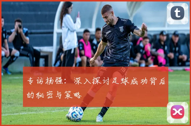 专访杨强：深入探讨足球成功背后的秘密与策略
